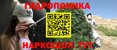 твердый Моздок