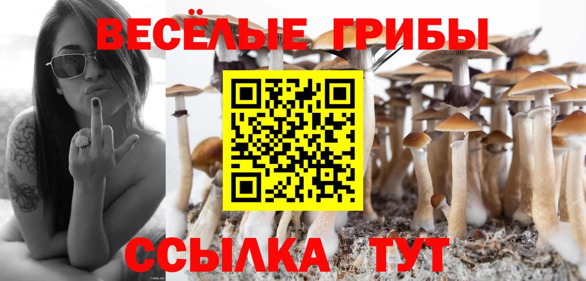 Галлюциногенные грибы мицелий Вичуга