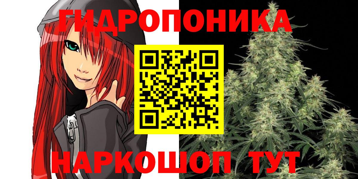 МАРИХУАНА марихуана  Бошки марихуана планчик  Марихуана OG Kush  Вичуга  Вход с VPN 